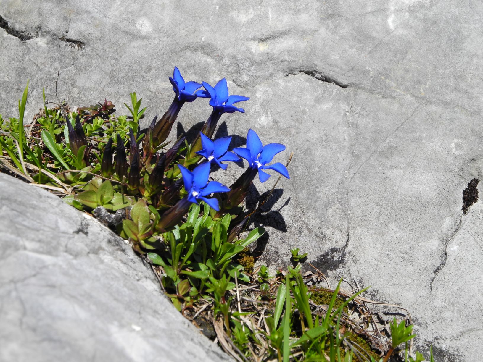 Etappe 25: Pühringerhütte – Loserhütte