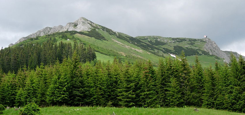 Hohe Veitsch von der Brunnalm