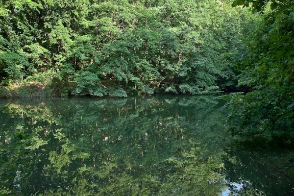 20100717-stadtwanderweg4-01