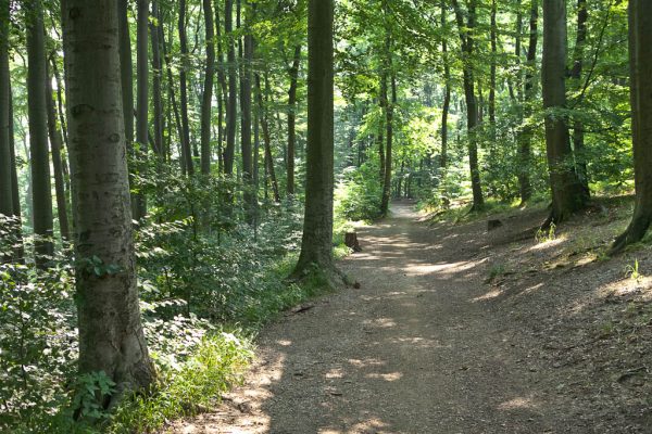 20100717-stadtwanderweg4-05