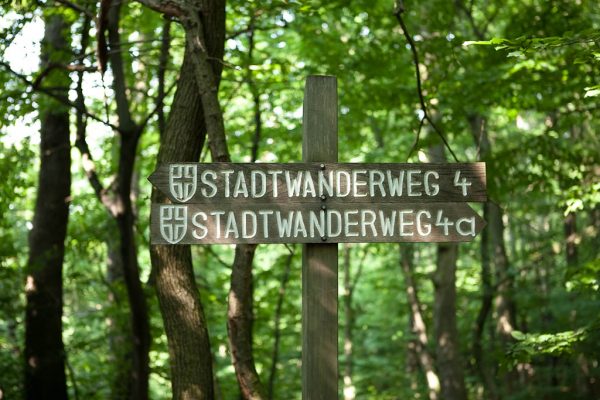 20100717-stadtwanderweg4-08
