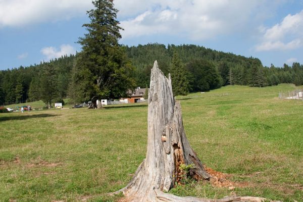 20100821-duerreleiten-26