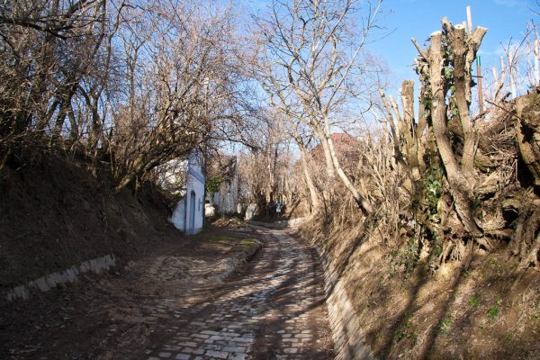 20110212-stadtwanderweg5-01