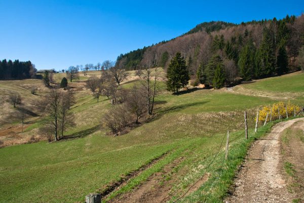 20110403-plattenstein-05