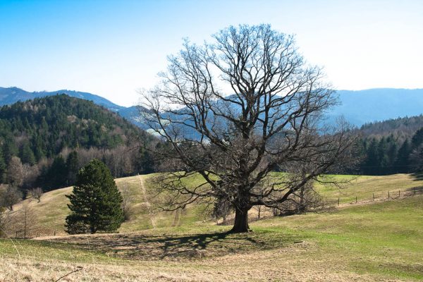 20110403-plattenstein-07