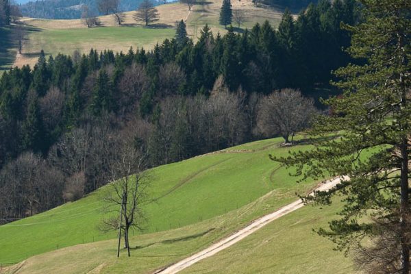 20110403-plattenstein-10