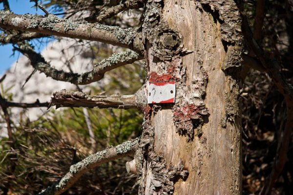 20110403-plattenstein-15