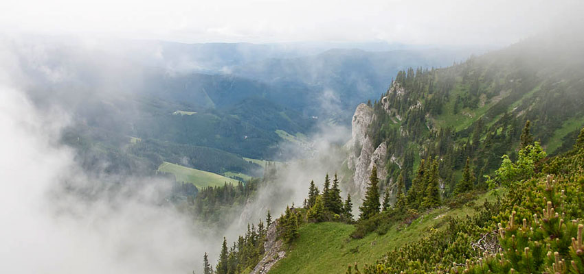 Ameisbühel von Altenberg an der Rax