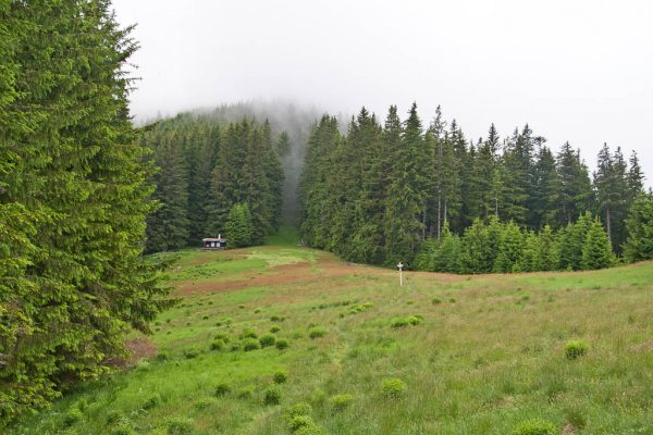 20110612-ameisbuehel-07