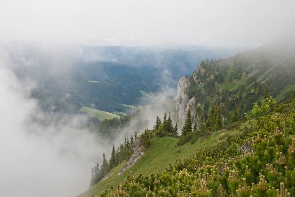 20110612-ameisbuehel-11