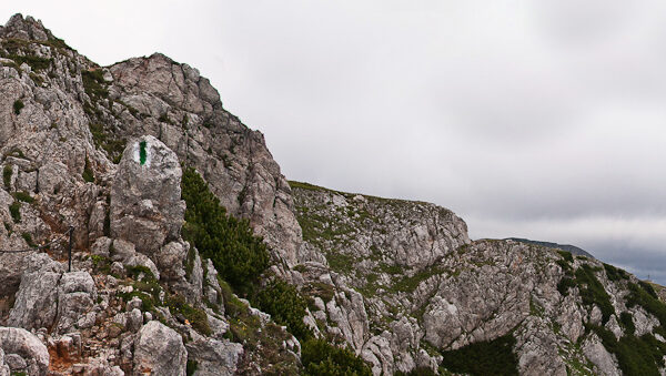 20110625-karl-ludwig-haus-11