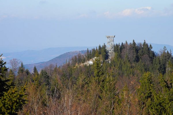 20120225-hohe-wand-36