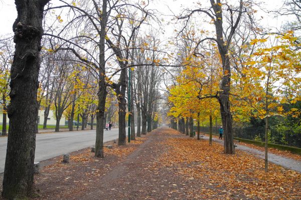 20131116-stadtwanderweg9-03