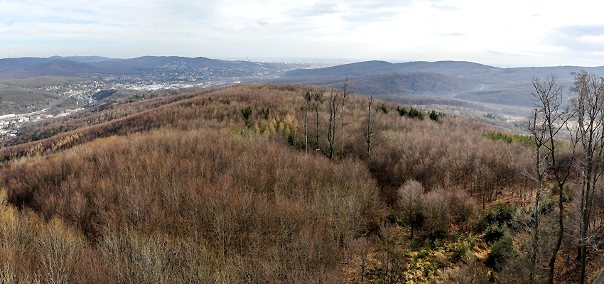 Rudolfshöhe und Schöffelstein bei Purkersdorf