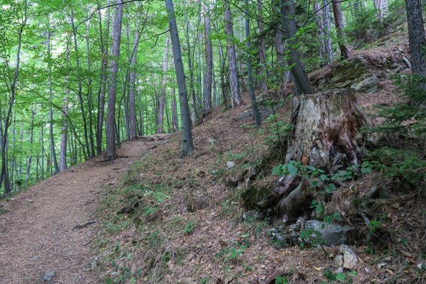 20150919-krumbachstein-08